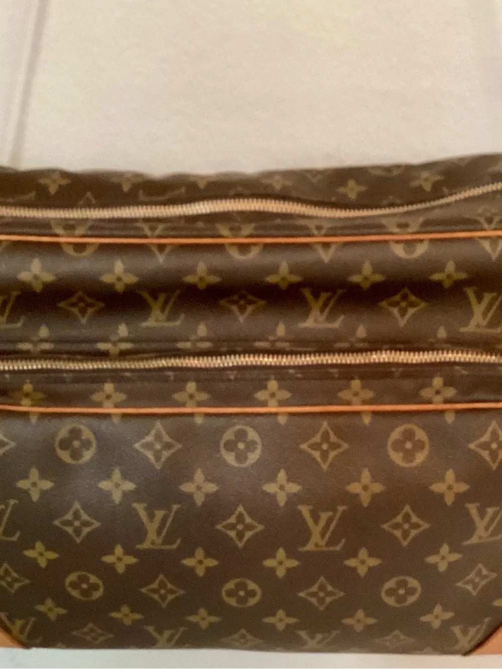 Louis Vuitton Monogram Nile Unisex GM Canvas Bag in Brown - Picture 10 of 16